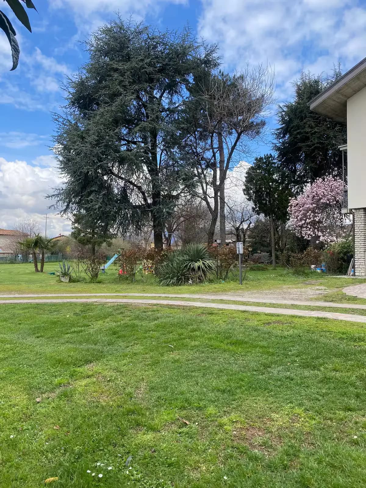 Villa Gabri garden with magnolia tree and pine forest